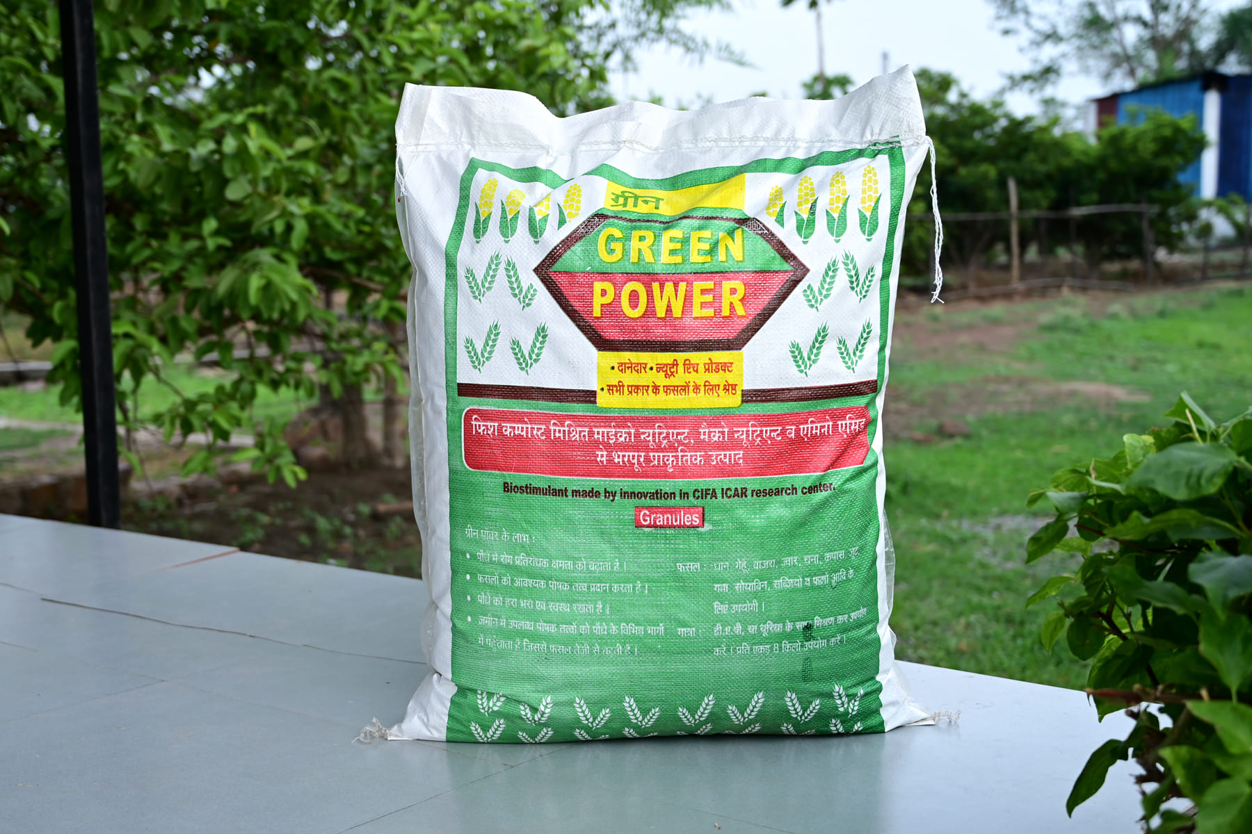 Green Power Basal