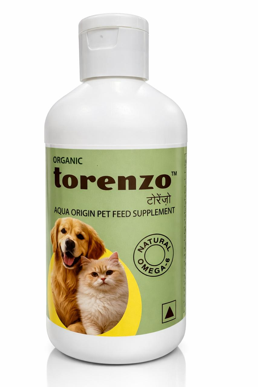Torenzo